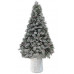 ALBERO COURMAYEUR INNEVATO CM.180 TIPS 482 (2pz)